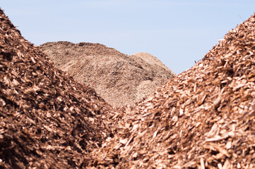 mountains of wood chips against the blue sky and green forest