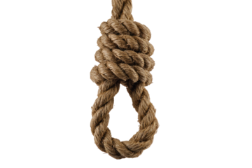 Close-up of a hanging noose.  A thick, light brown rope forms a tight, looped gallows knot against a black background