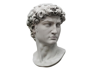 David's head sculpted in white marble against a pure white background
