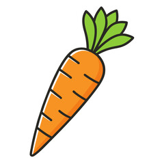 carrot isolated
