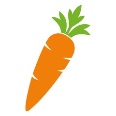 carrot vector illustration