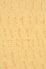 A detailed, full-frame close-up of a partially baked pie crust, showing its light golden color and the distinct fork pricks for venting