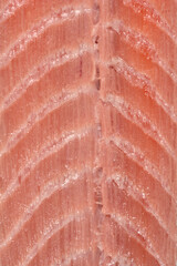 A close-up shot of a fresh raw salmon fillet, emphasizing its texture and vibrant color