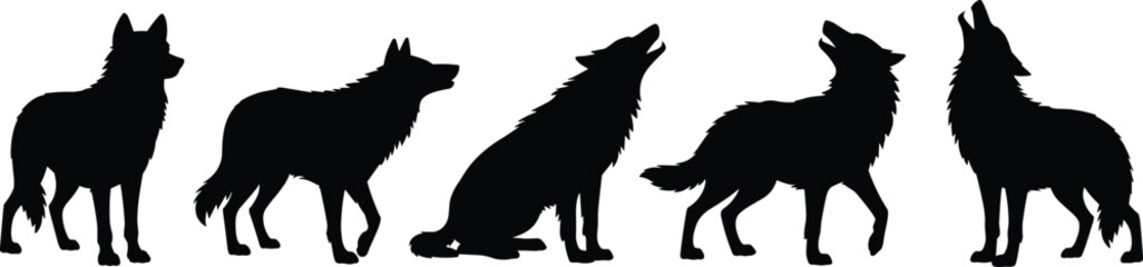 Black silhouettes of wolves in various poses including standing, walking, sitting, and howling, wild canine animals vector illustration