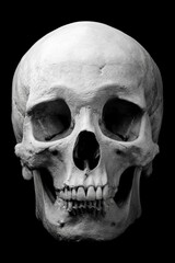 Obraz premium A human skull in stark black and white showcasing detailed bone structure