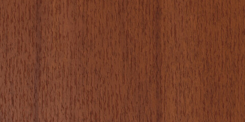 Wood Burma Padauk Rich Reddish Brown Texture