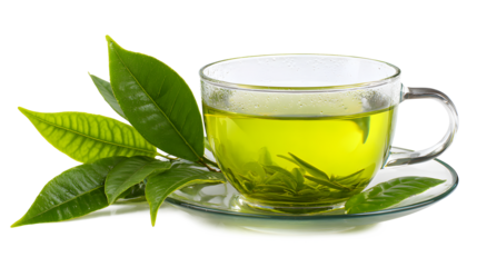 Fresh green tea in a glass cup, leaves and saucer isolated on a white background