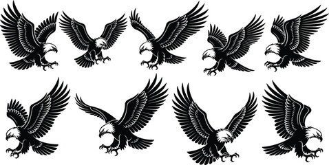 Majestic eagle illustrations, soaring eagles, detailed eagle designs, vector eagle art, powerful eagle graphics, dynamic eagle poses, wildlife art  