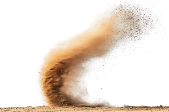 Close up of a sea anemone extending its tentacles isolated on transparent background. The dust devil spins a small whirlwind of dust and debris on isolated with white background.