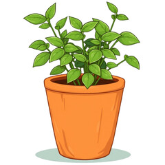 Obraz premium Herbal plant in clay pot17.Herbal plant in clay pot