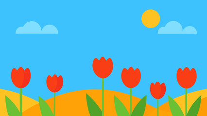 open blue sky tulip field sunlight