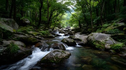 Fototapeta premium Cascading stream in a lush remote forest