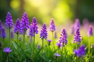 Fototapeta premium Vibrant purple wildflowers blooming in a lush meadow bathed in sunlight Delicate petals and green foliage create a stunning natural scene perfect for spring or summer themes , botanical, natural