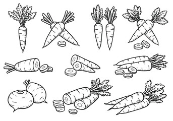 A variety of carrot illustrations, each with unique features, isolated on white background perfect for culinary, gardening, and healthy eating themes