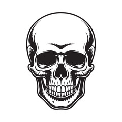 Vector art of black and white illustration of a human skull with detailed shading isolated on white background