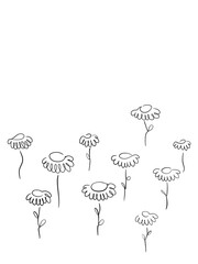 Minimal Flower Line Background for Quote, Text Overlay, Printable Art