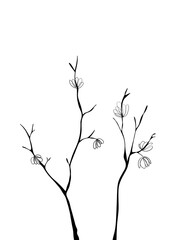 Bare Branches Background for Message Space, Printable Art