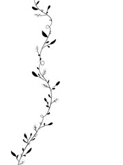 Climbing Vine Side Border Background, Text Overlay, Printable Art