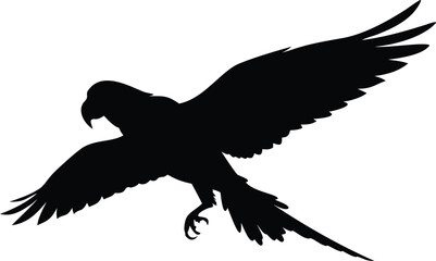 Black silhouette of a parrot showing wings, feathers, and beak against a white background