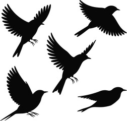 A large collection of black tree silhouettes, showcasing various distinct shapes and foliage, perfect for nature, landscape, and botanical-themed designs, on a white background
