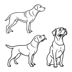 Doodle Dog Adventures