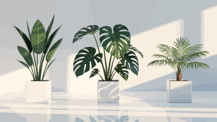Modern Indoor Plant Decor &ndash; 3 Stylish Potted Houseplants in Minimalist White Planters.