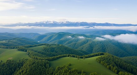 Majestic aerial view of lush green rolling hills and dense forests bathed in soft morning light with distant snow-capped mountains emerging from a misty atmospheric haze
