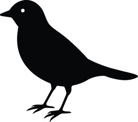 bird, bird silhouette, bird outline, bird flying, bird perched, bird wings, bird feathers