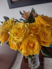 THE BEAUTY OF PLANTS
