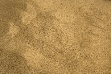 A detailed, close-up view of a vast expanse of smooth, fine-grained sand under soft light.