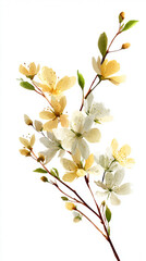 Fototapeta premium Delicate Watercolor Flowers with Green Leaves on White Background 