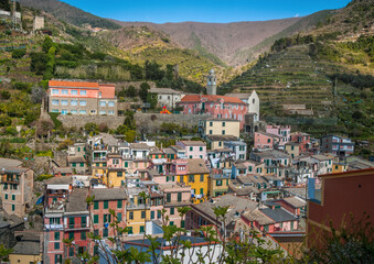 Fototapeta premium Vernazza in Cinque Terre, with brightly houses among vineyards