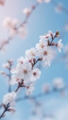 White flower with five distinct petals on brown stem in semi-circle arrangement. Central petal slightly tilted. Deep blue background with gray stripe. Blurred quality adds movement to flower.