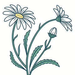 vector illustration of a flower