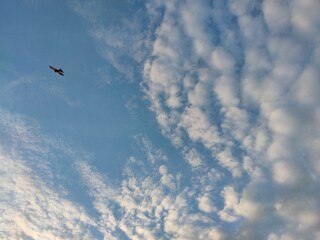 Blue Sky with White Clouds
