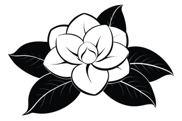 Black leaves and white flower create a striking monochrome floral composition