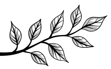 Fototapeta premium Elegant hand drawn botanical branch with leaves