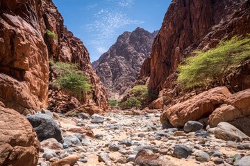 Desert canyon, rocky wash, vivid colors