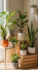 Lush indoor plants like Monstera, Snake Plants, and Fiddle Leaf Fig in modern pots by a sunny window.