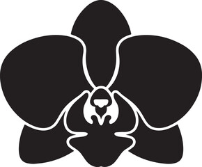 Delicate orchid silhouette flower bloom