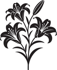 Elegant black lily silhouette flower floral