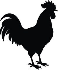 silhouette of a crowing rooster