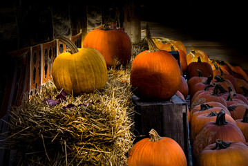 Halloween pumpkins looks pretty for any home decoration.