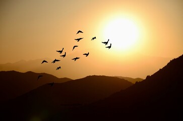 Flying
