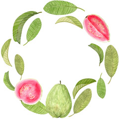 Guava fruits, slices, and tropical leaves arranged in circular botanical frame. Watercolor wreath isolated on white. Perfect for natural packaging, cosmetic labels, tropical invitations, summer design