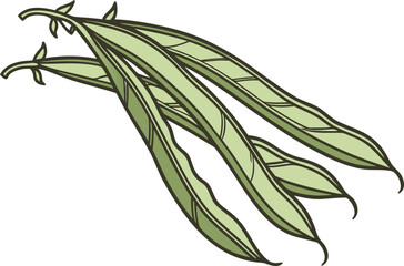 Green Beans Realistic Illustration. Green Beans Healthy Food Art. Organic Green Beans Isolated Design. Realistic Green Beans Food Drawing. Natural Green Beans Vegetable Illustration