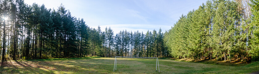 Football training ground surrounded by pine trees