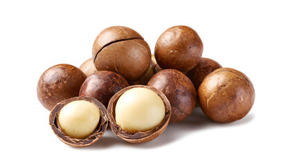 Studio Shot of Macadamia Nuts isolated on a white background