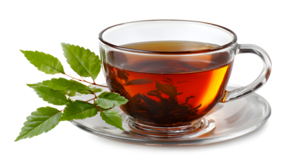 Tea brewing in transparent glass isolated on a white background