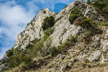 rocks with trees in the French Drôme region in summer